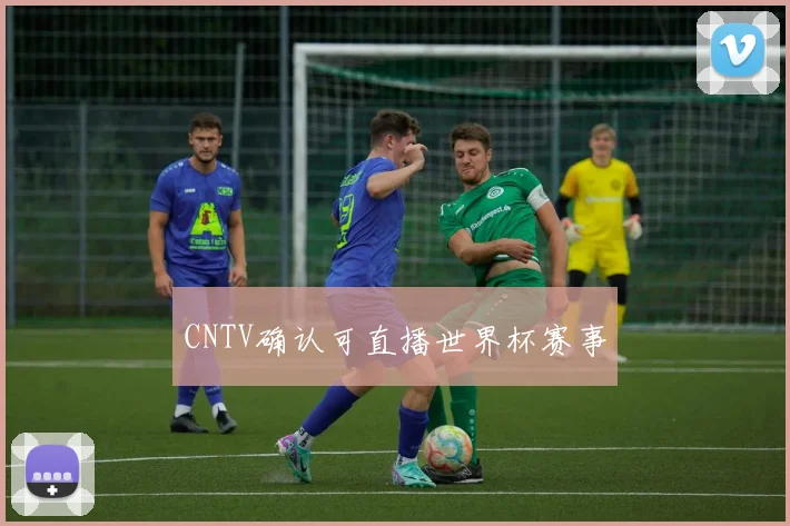CNTV确认可直播世界杯赛事