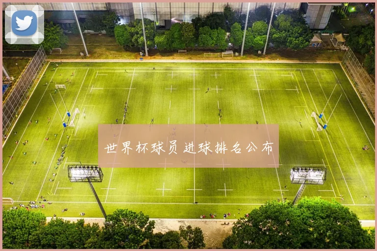 世界杯球员进球排名公布