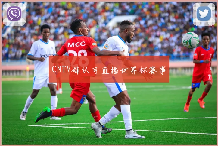 CNTV确认可直播世界杯赛事