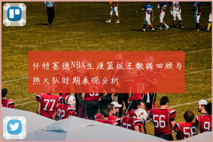 怀特塞德NBA生涯篮板王数据回顾与热火队时期表现分析