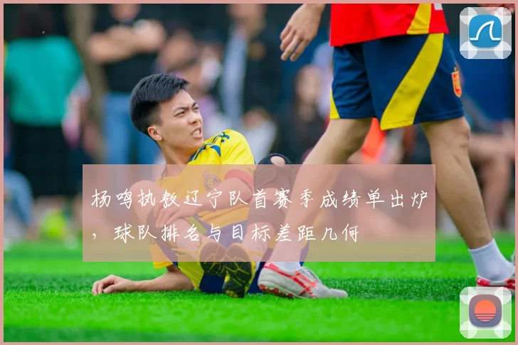 杨鸣执教辽宁队首赛季成绩单出炉，球队排名与目标差距几何