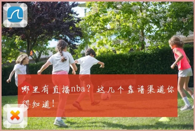 哪里有直播nba？这几个靠谱渠道你得知道！