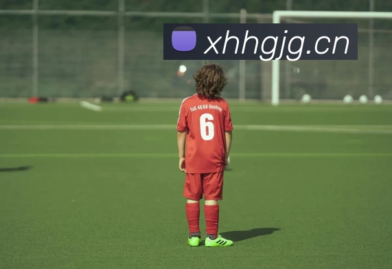 开云网页版·官方版在线登入 - 开云(中国)品牌故事