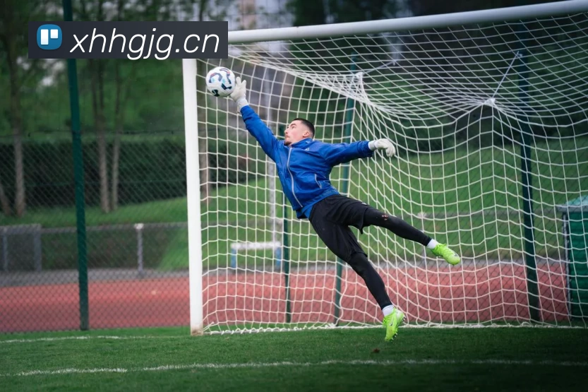 开云(中国)Kaiyun·体育官方网站 - 登录入口APP 封面图